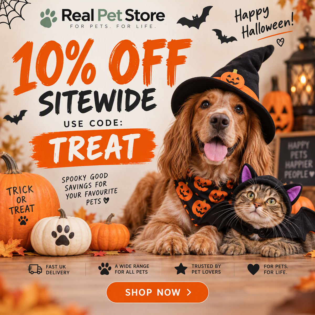 Halloween Discount Code 2026