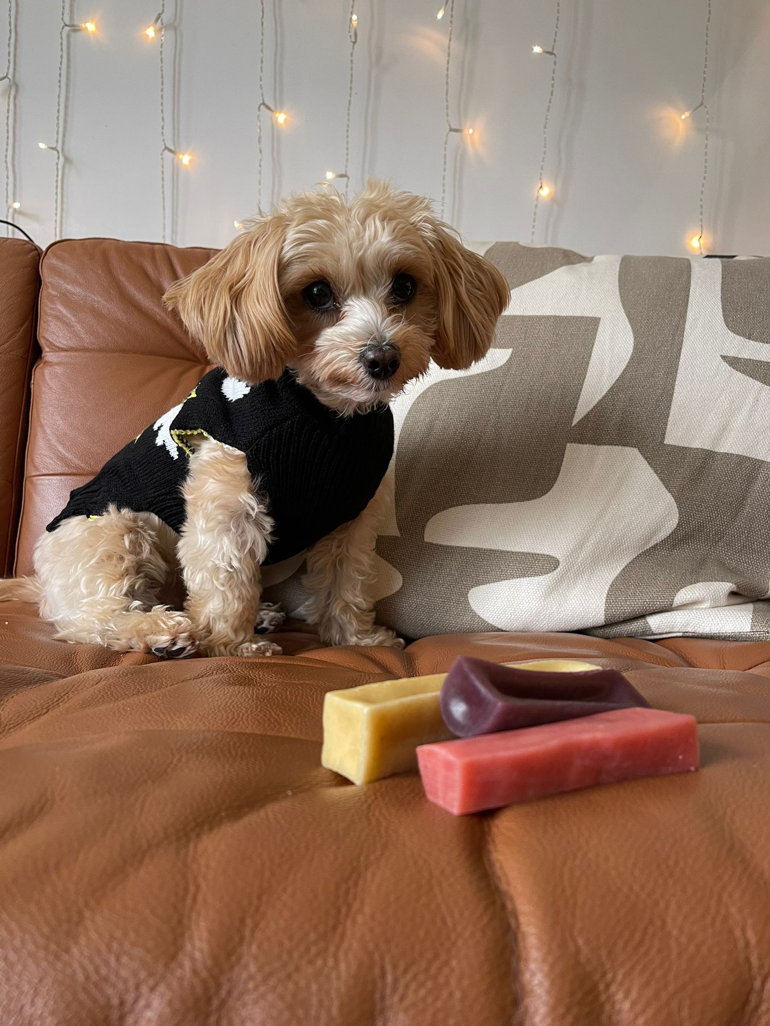 Yak Chew FAQs - All You Need to Know about Yak Chews