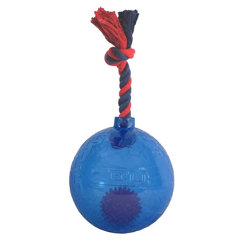Puppy Toys