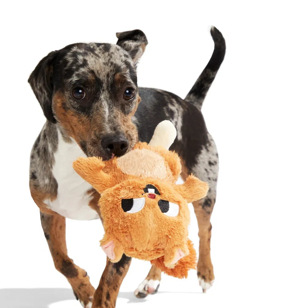 BARK Pearl Squirrel Plush Dog Toy