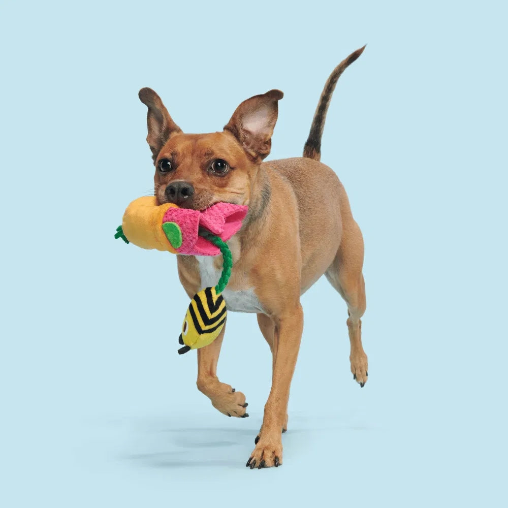 BARK Pollen Nate Backyard Garden Dog Toy