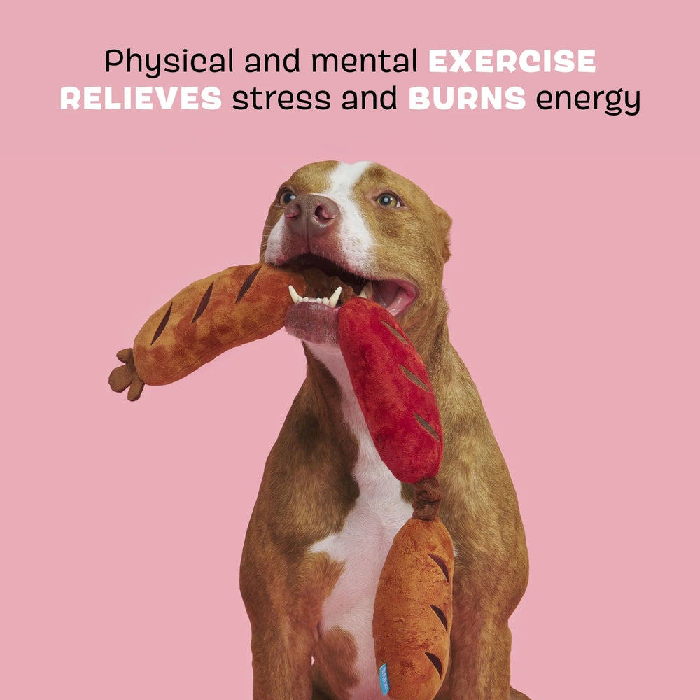 BARK Lickin' Links Plush Dog Toy