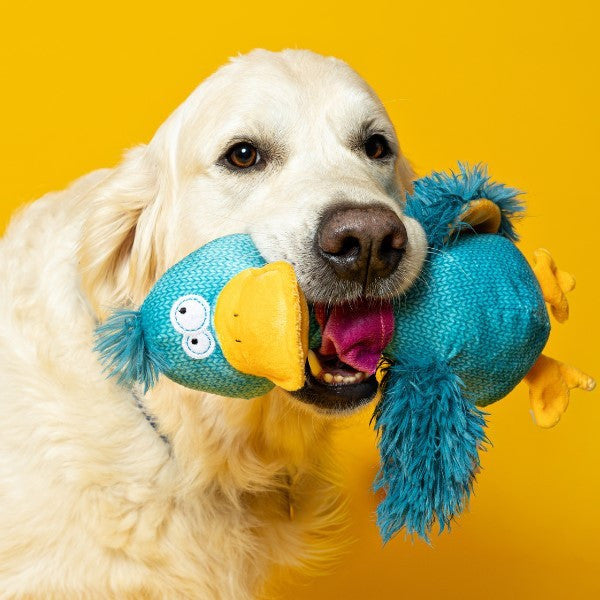 Animal Instincts Teal Tails Tom the Duck Plush with Squeaker