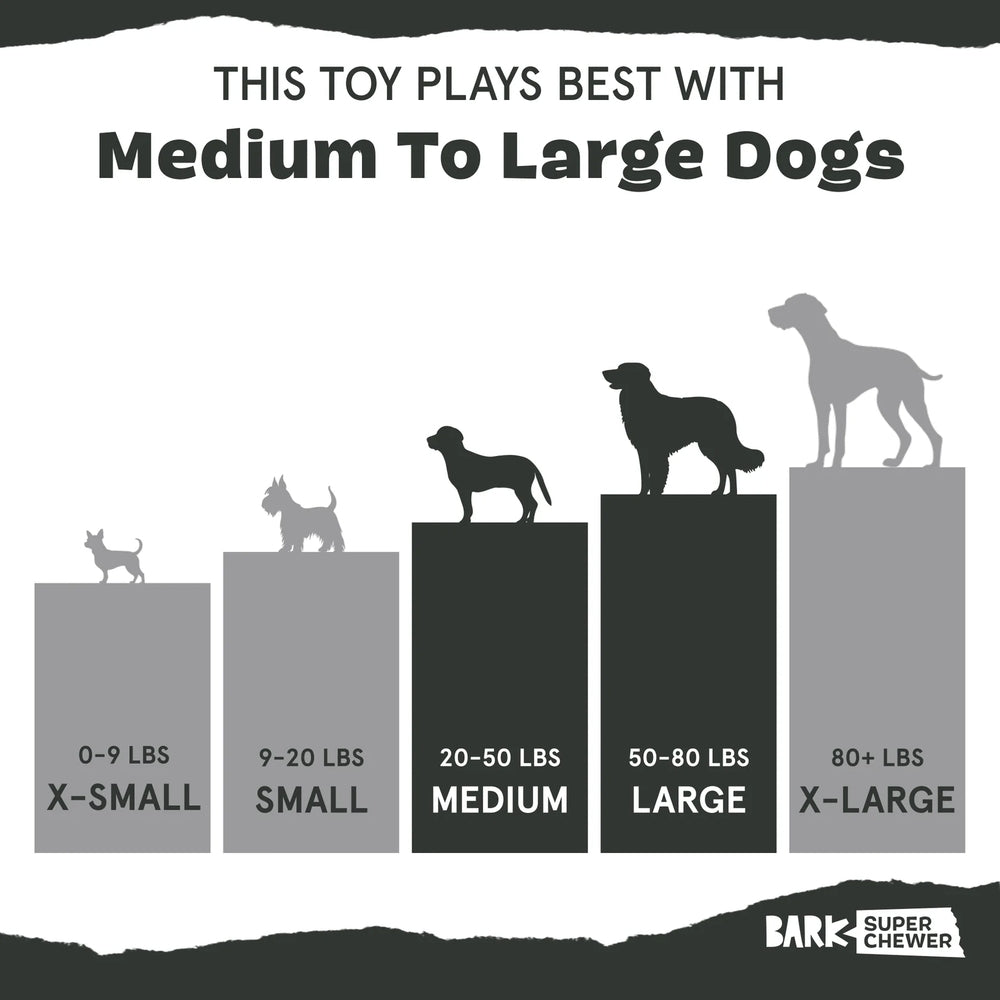 BARK I-Squeak Cone Super Chewer Dog Toy