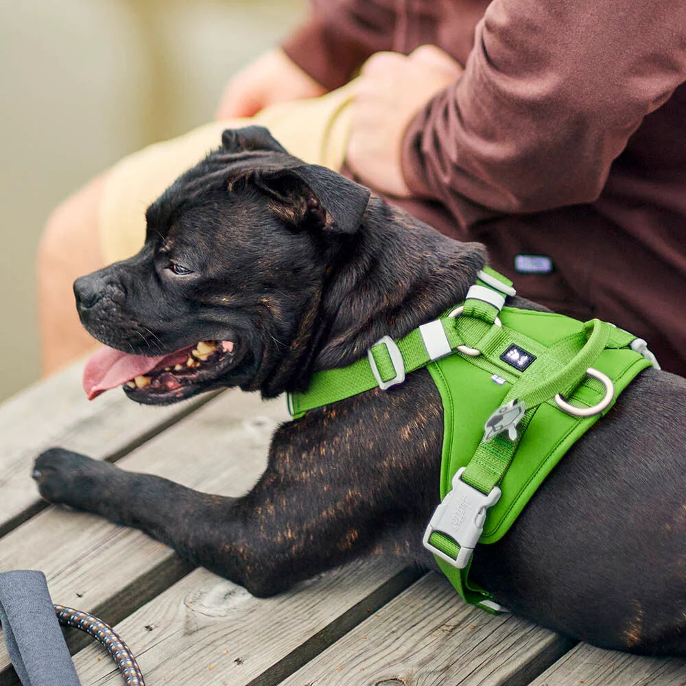 Hurtta Weekend Warrior II ECO Dog Harness Ruby 5 Sizes
