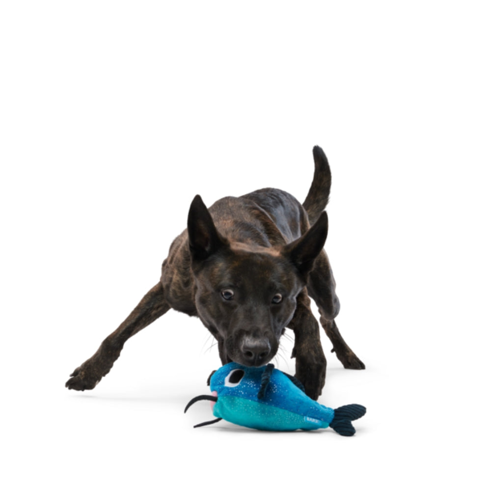 BARK Catfish Claude Plush Dog Toy