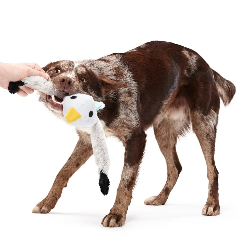 BARK Sully The Gully Plush Dog Toy