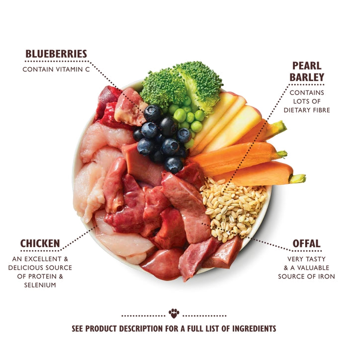 Lilys Kitchen Chicken and Turkey Casserole Trays 10 x 150g