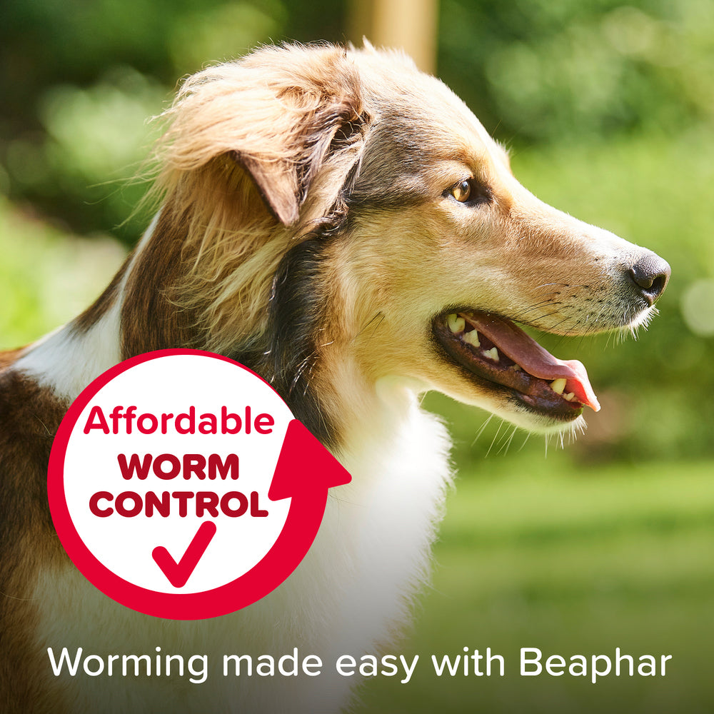 Beaphar WORMclear for Large Dogs up to 40kg Worming Tablets x 4