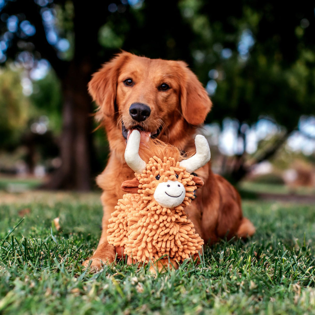 Multipet Floppy Highland Cow Plush Dog Toy