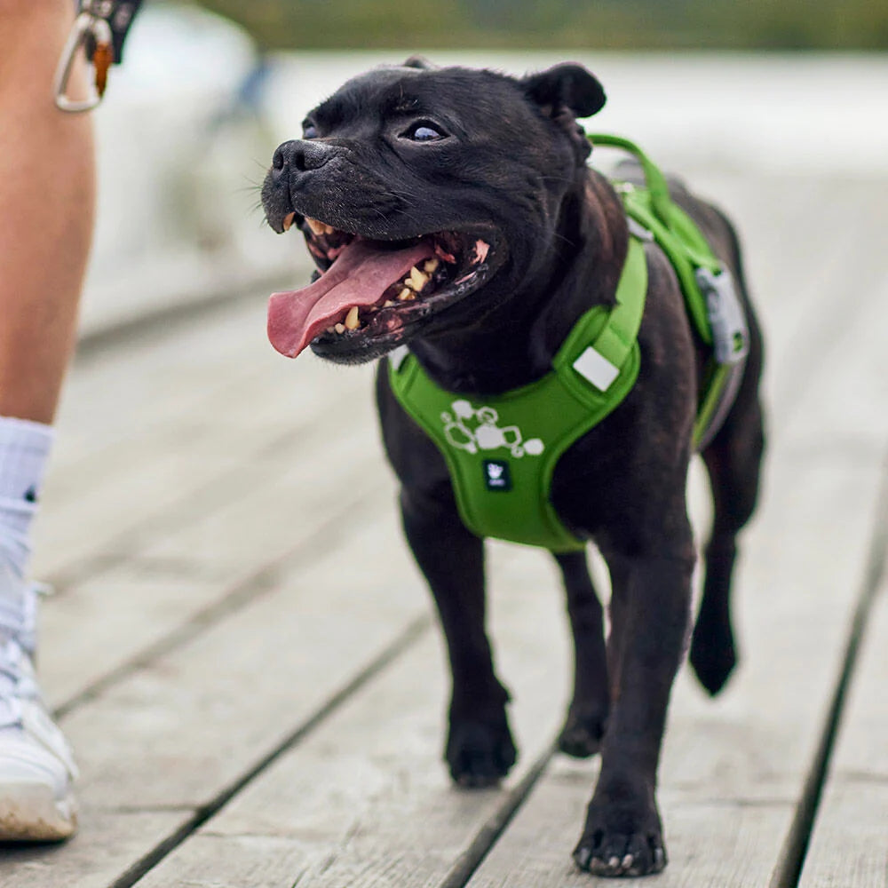 Hurtta Weekend Warrior II ECO Dog Harness Ruby 5 Sizes