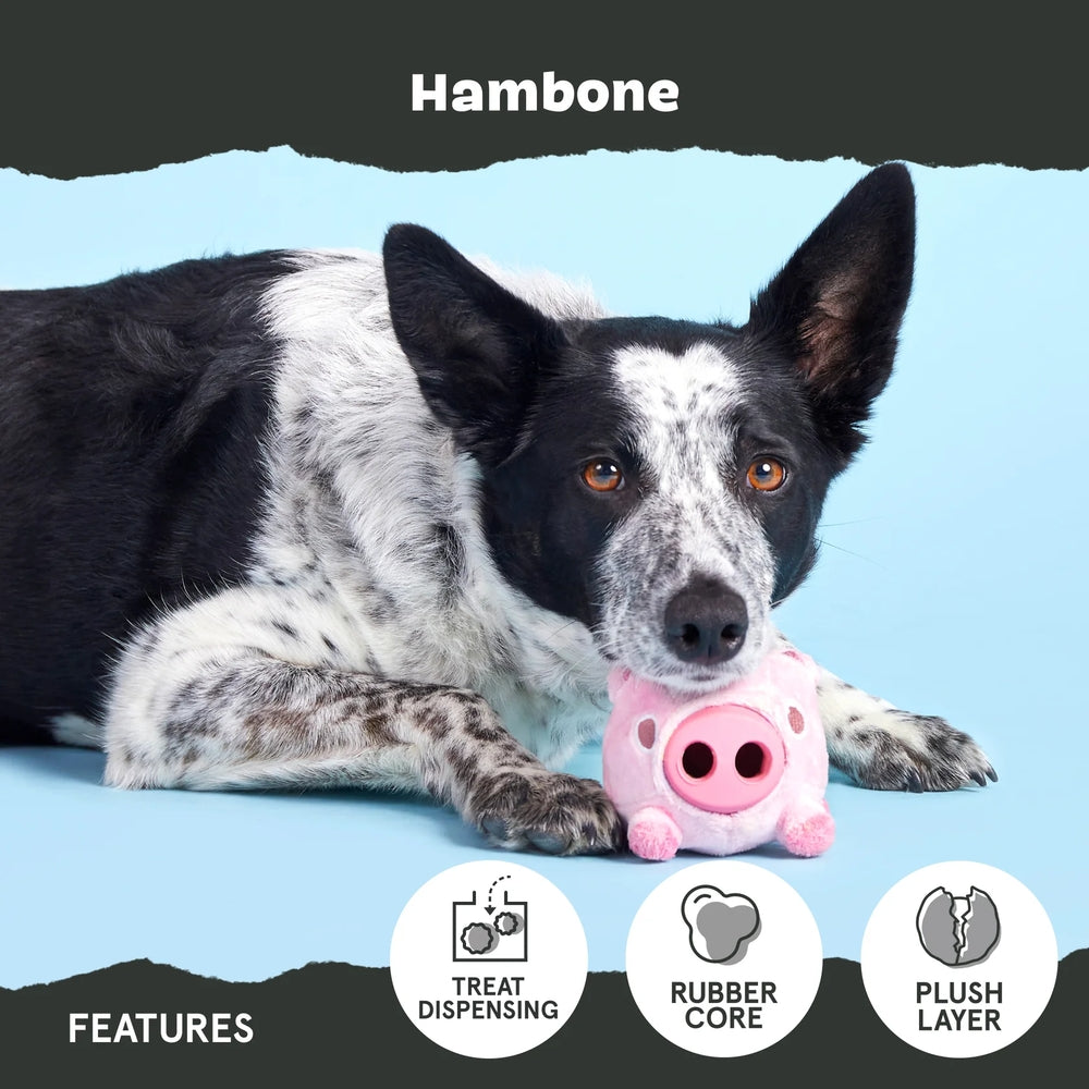 BARK Hambone Super Chewer Dog Toy