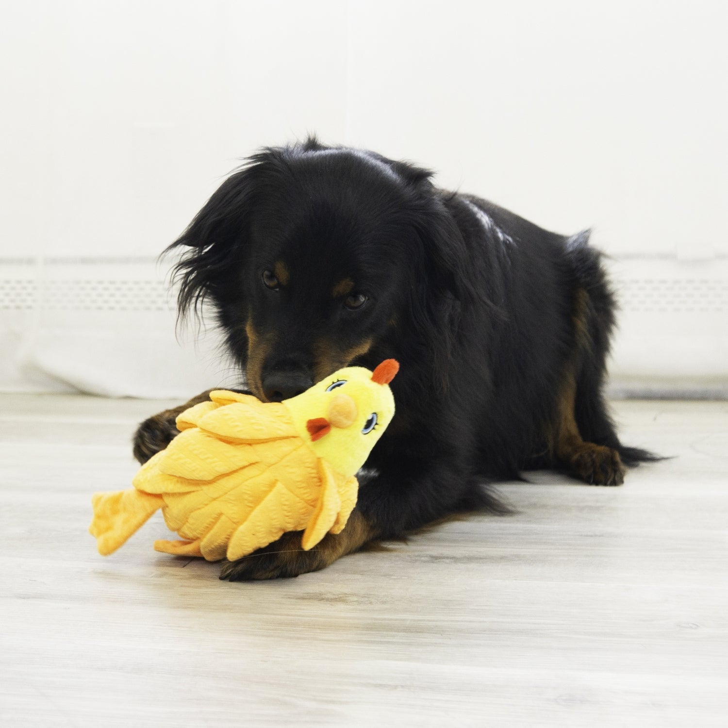 KONG Layerz Forage Hen