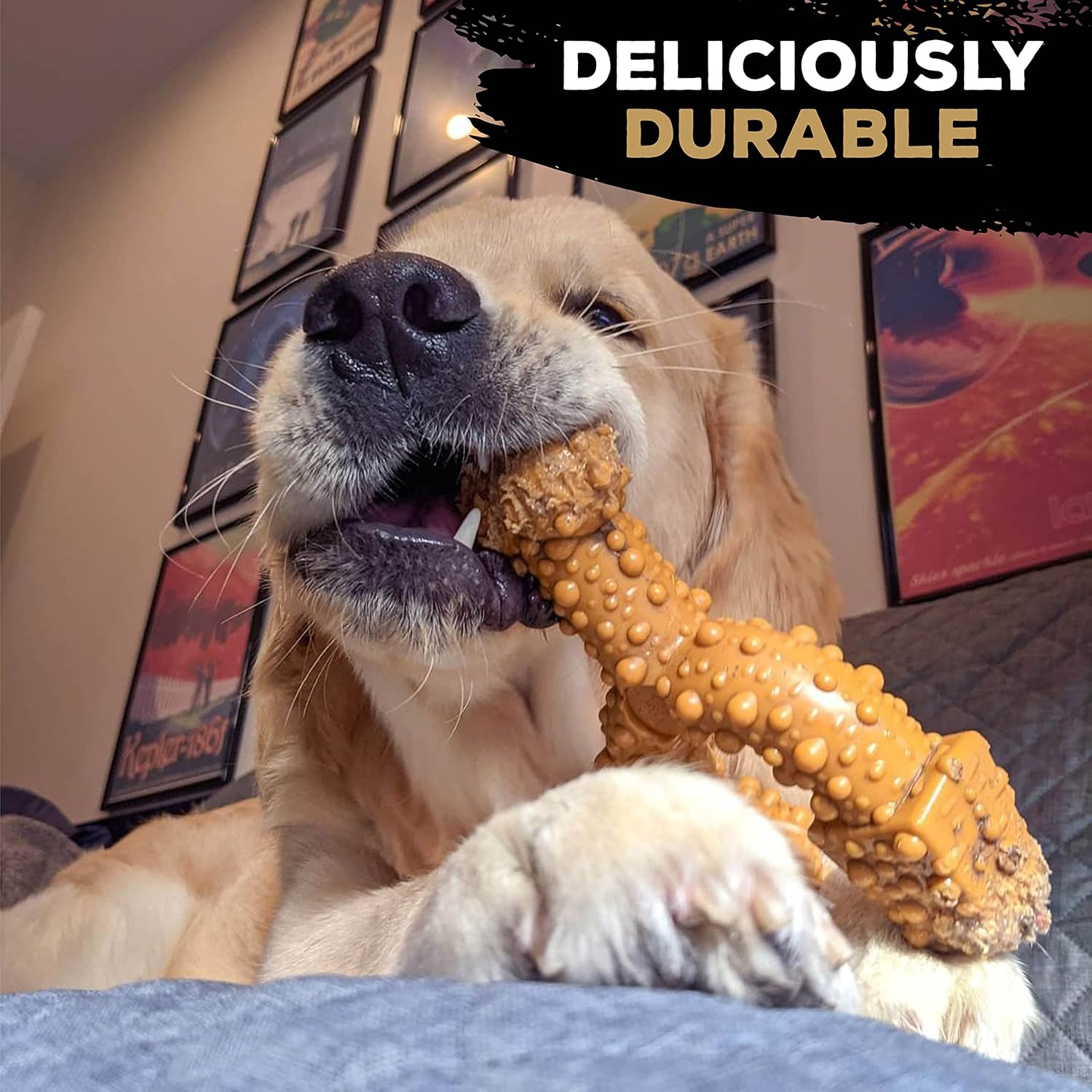 TastyBone TRIO Tough Nylon Dog Chews for Small Dogs 5 Flavours