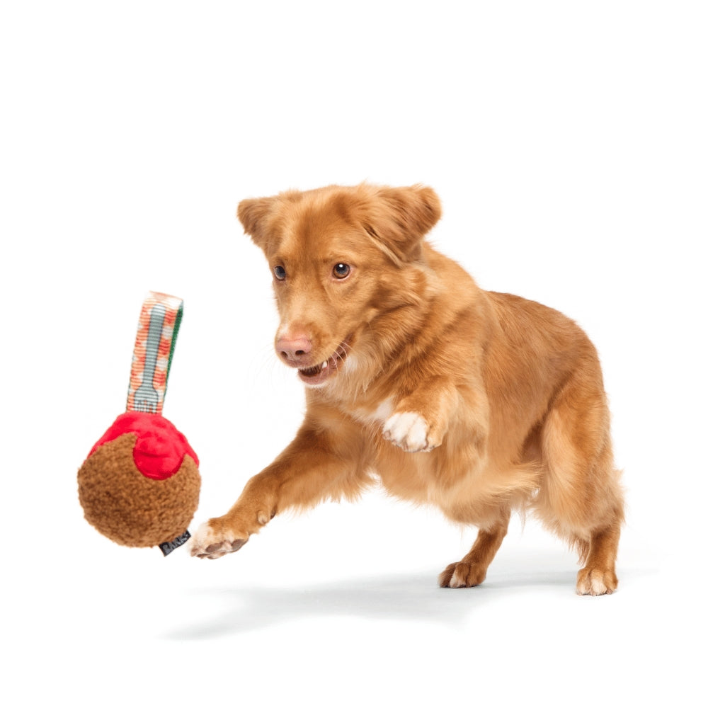 BARK A Squeaky Meat-A-Ball Super Chewer Dog Toy