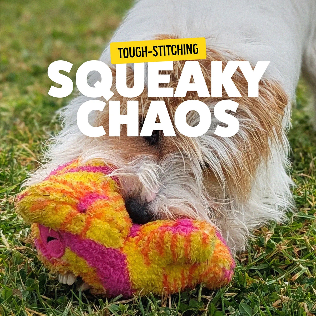 Bonkers Fuggler Dog Toy – Old Tooth