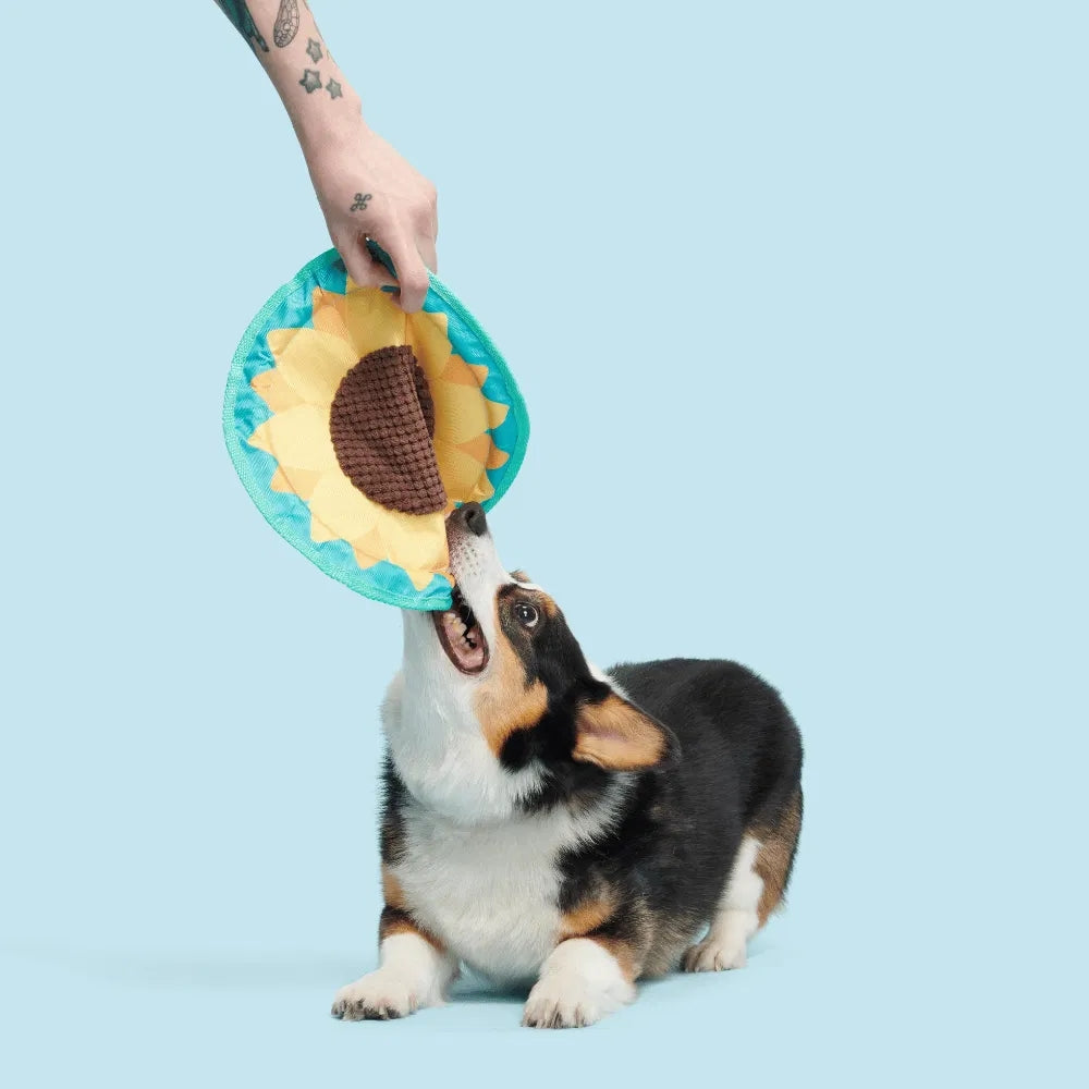 BARK Sunflower Flinger Backyard Garden Dog Toy