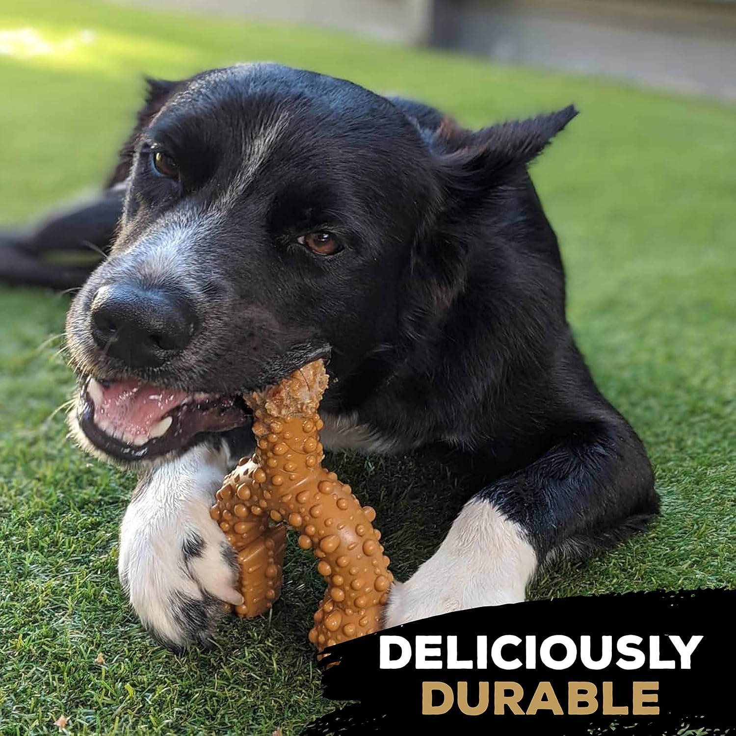 TastyBone TRIO Tough Nylon Dog Chews for Small Dogs 5 Flavours