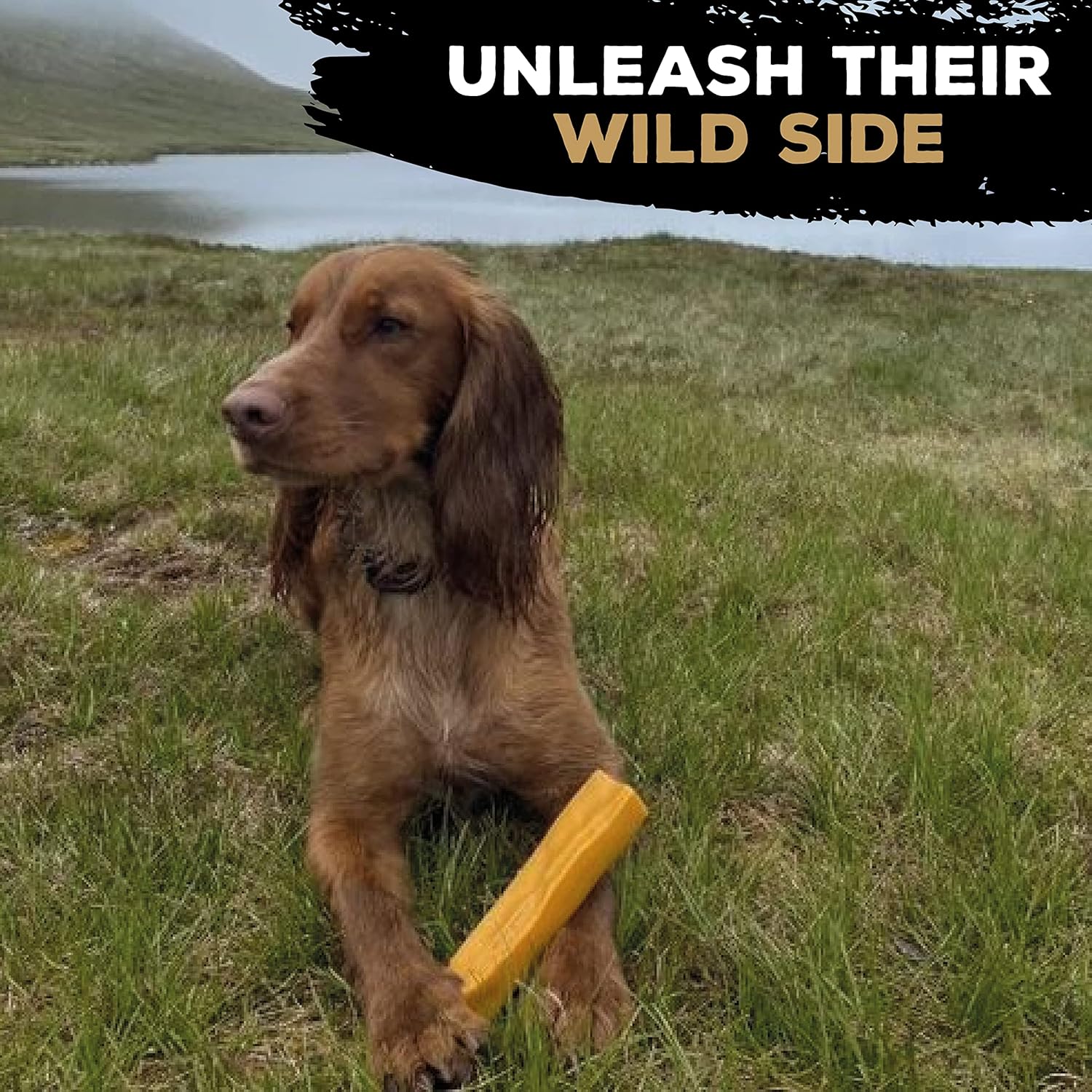 TastyBone Wild Yak Cheese Flavour Bar