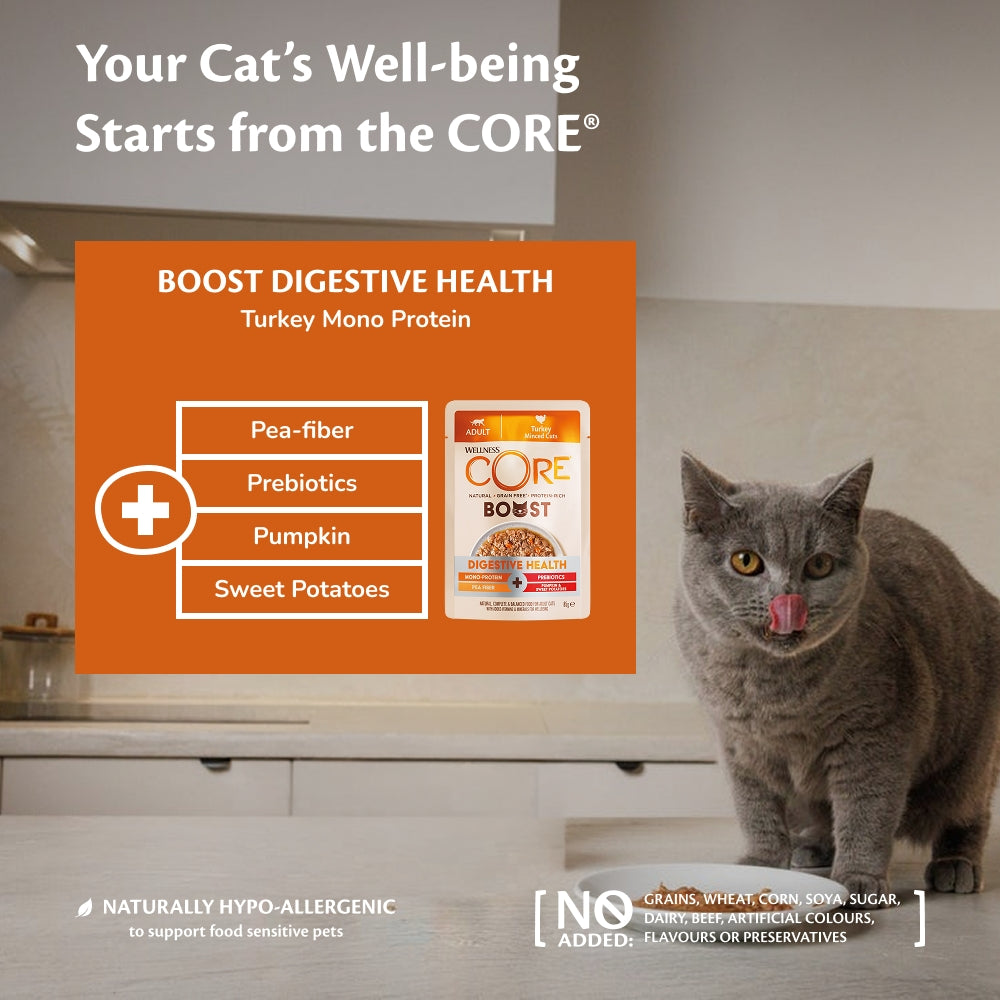 Wellness CORE Cat Boost Digestive Health Turkey 14 x 85g