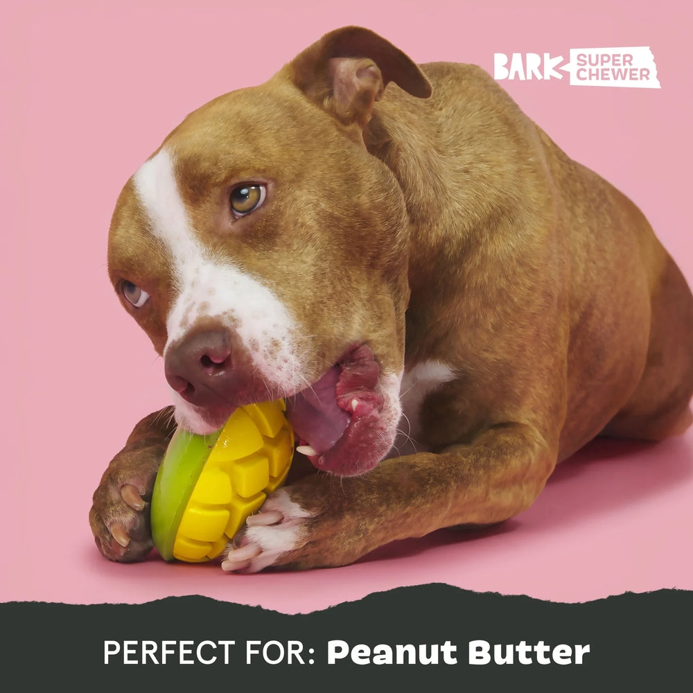 BARK Go Mango Super Chewer Dog Toy