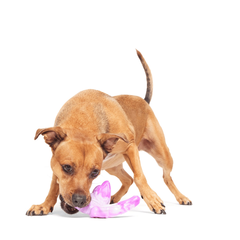 BARK Fairy Dogmother Backyard Garden Super Chewer Dog Toy