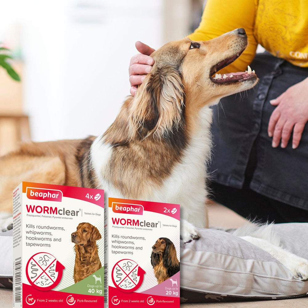 Beaphar WORMclear for Large Dogs up to 40kg Worming Tablets x 4