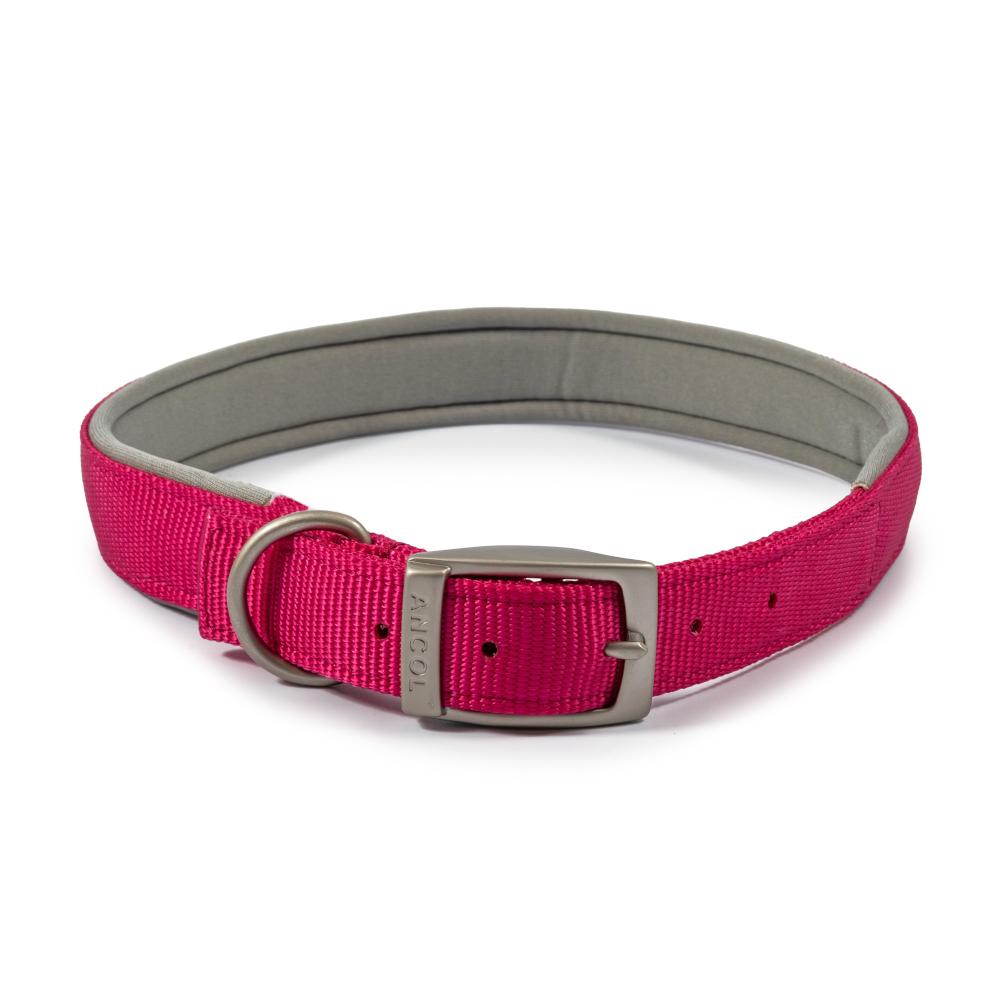 Padded dog clearance collars with buckle