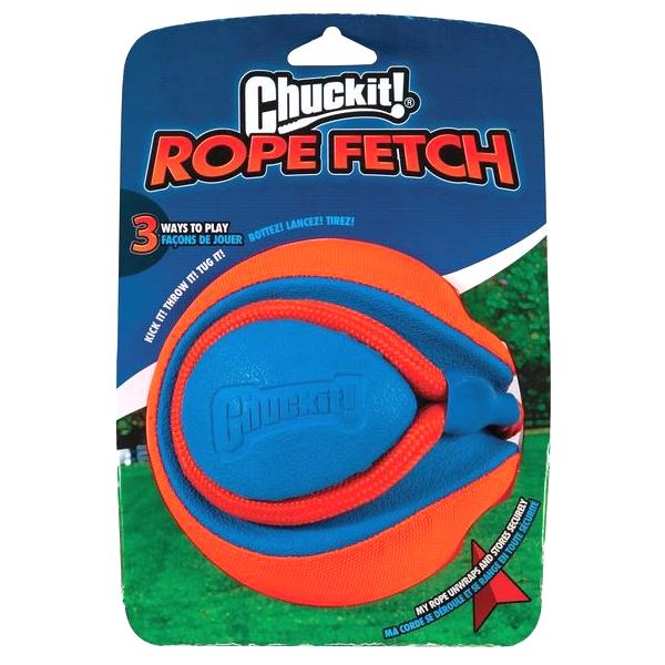 Fetch dog shop toy throws ball