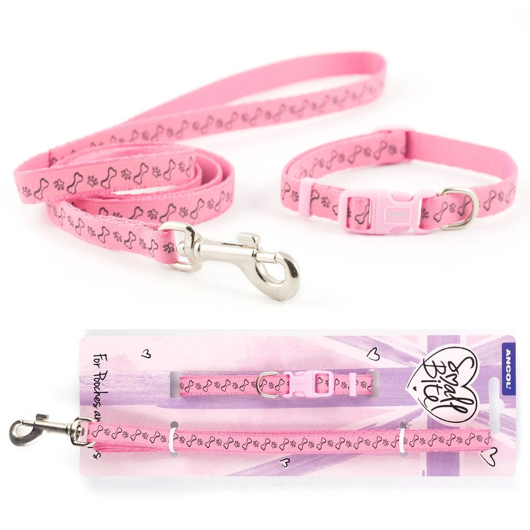 Pink collar 2024 and lead set