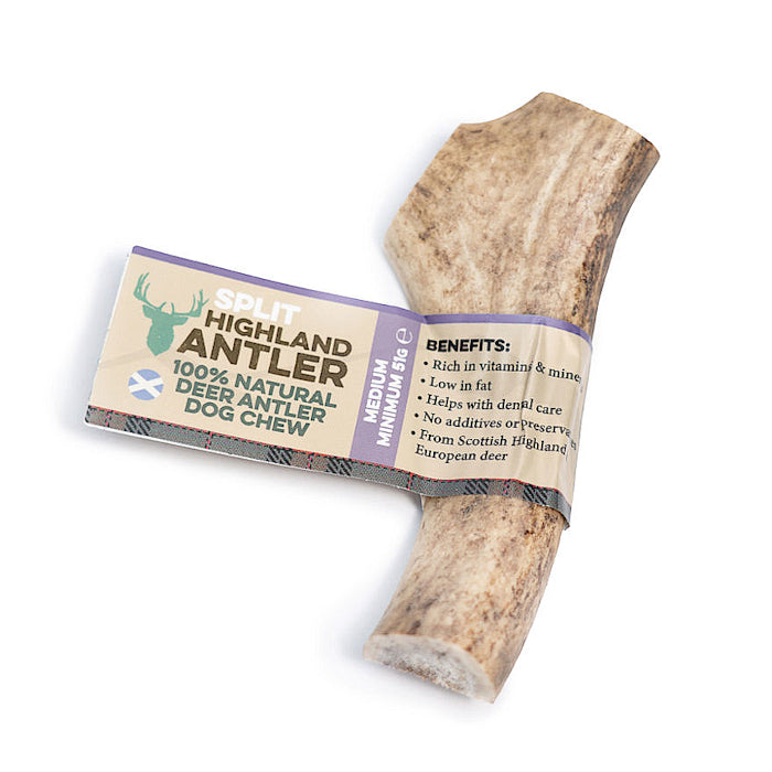 Antos store antler chew