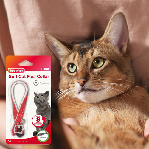 Beaphar Cat Collar Repels Fleas Sparkle - Main Image