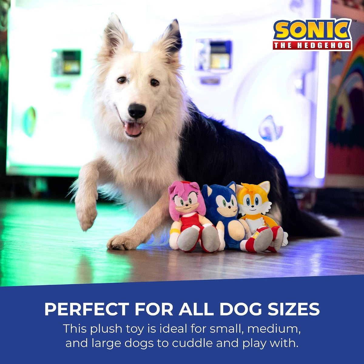 Multipet Sonic the Hedgehog Plush Dog Toy - Sonic