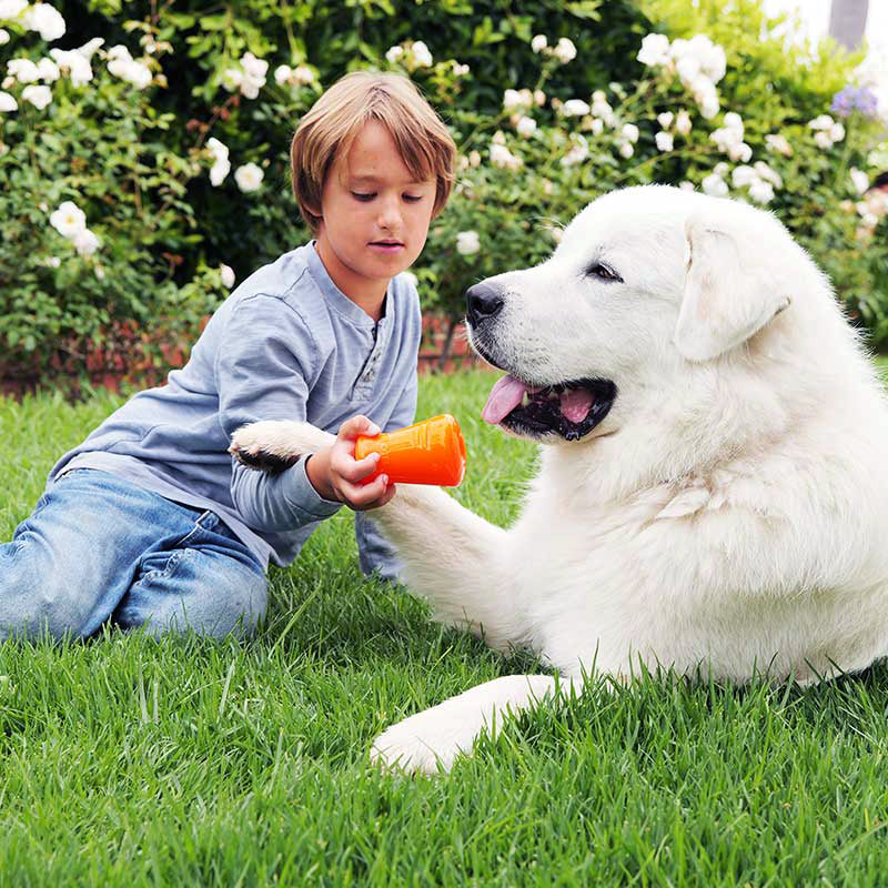 BIONIC Treat Shaker Dog Toy 3 Sizes