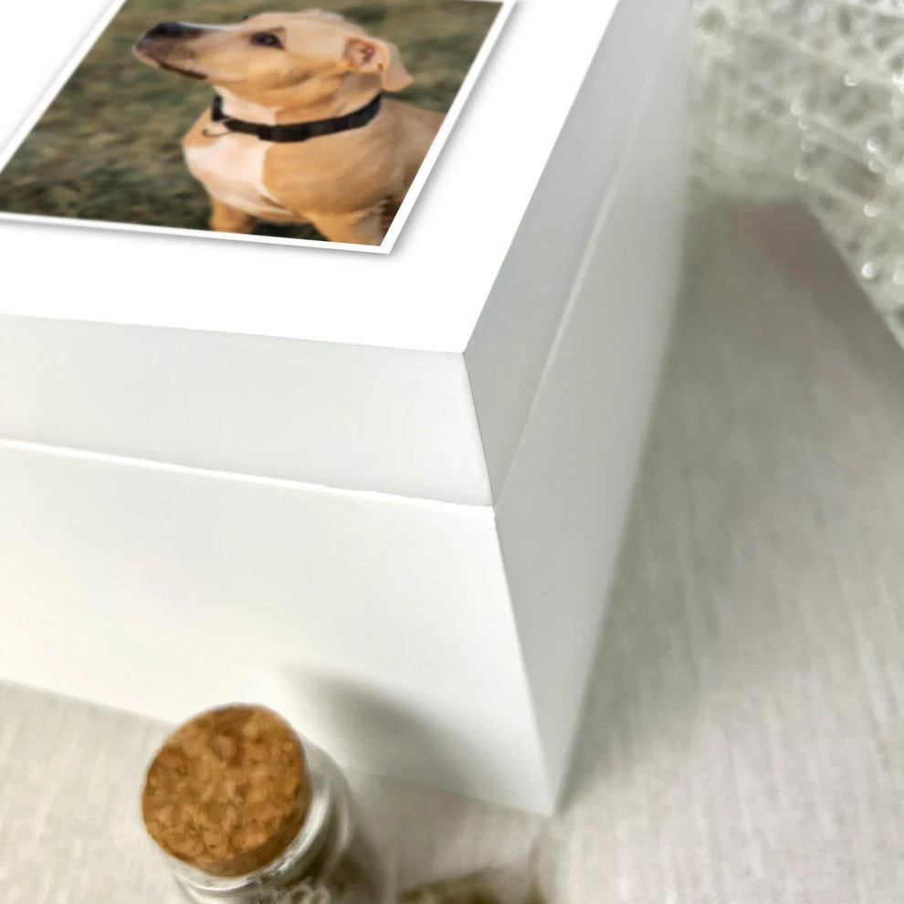 Personalised White Wooden Sketch Pet Photo Memorial Keepsake Box 3 Sizes