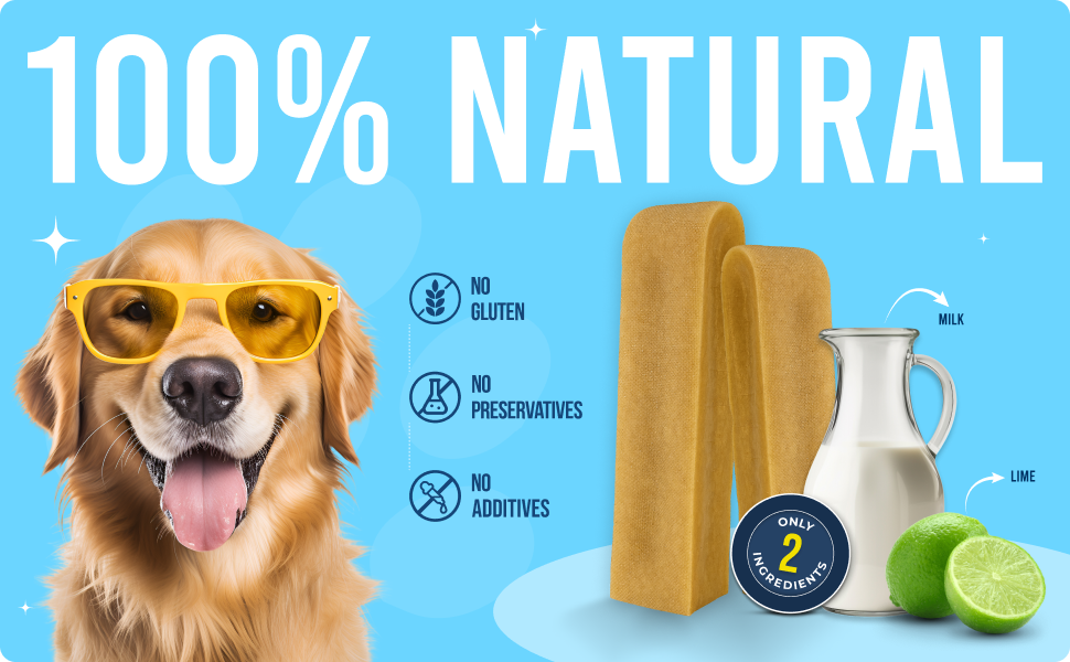 Yakchoo Himalayan Yak Cheese Dog Chews – Large 130g - 2 or 3 Pack Options