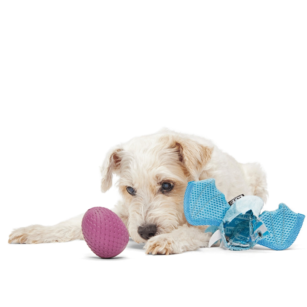 BARK Brrrtha The Dragon Super Chewer Dog Toy