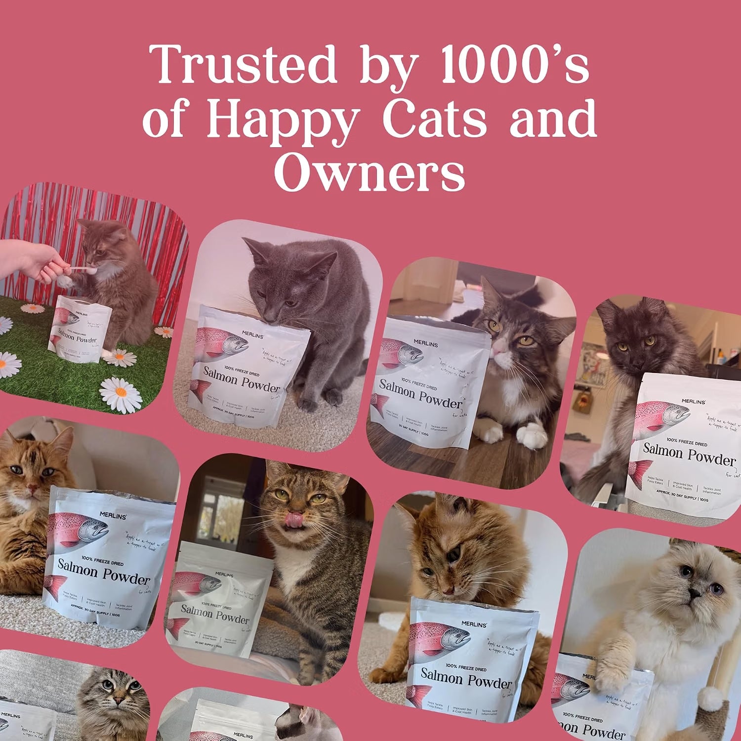 Merlins 100% Freeze Dried Salmon Powder for Cats & Dogs – 100g