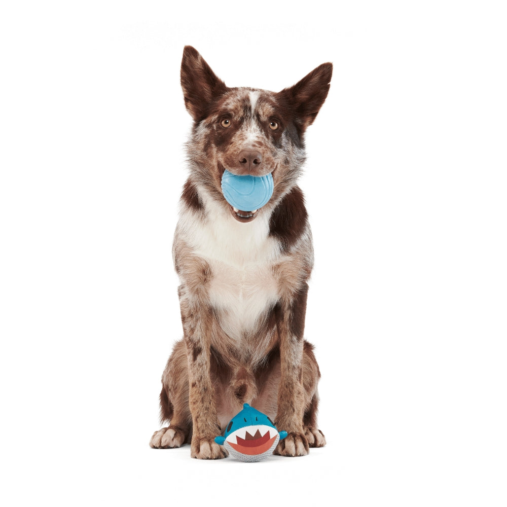 BARK Great White Dwight Super Chewer Dog Toy
