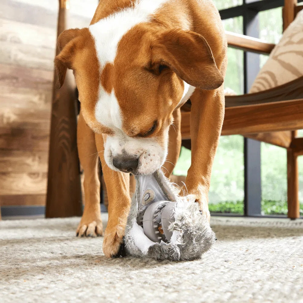 BARK Hare Raiser Super Chewer Dog Toy