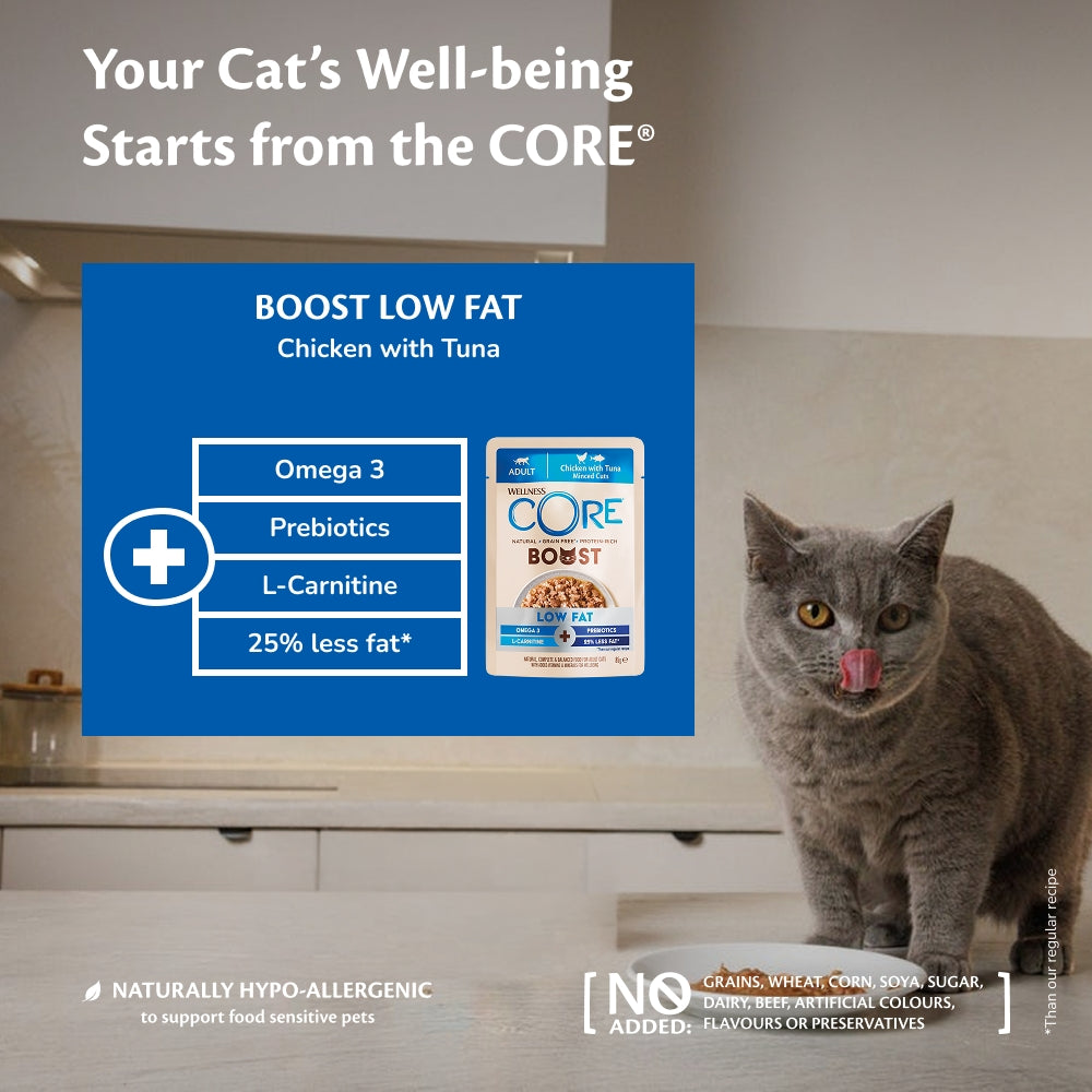 Wellness CORE Cat Boost Low Fat Chicken with Tuna 14 x 85g