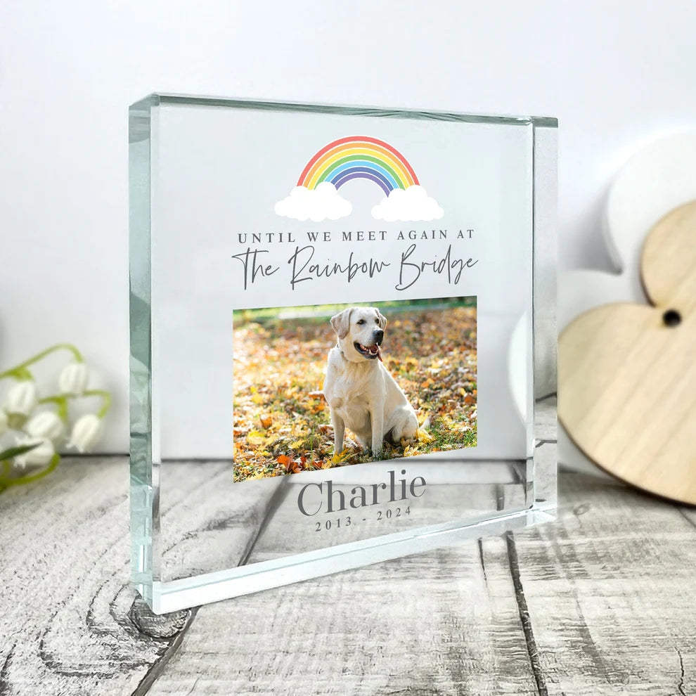 Personalised Pet Memorial Until We Meet Again Photo Crystal Token