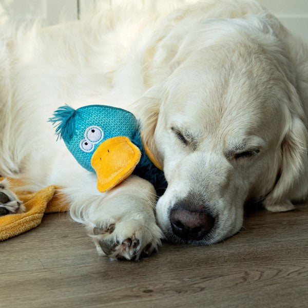 Animal Instincts Teal Tails Tom the Duck Plush with Squeaker