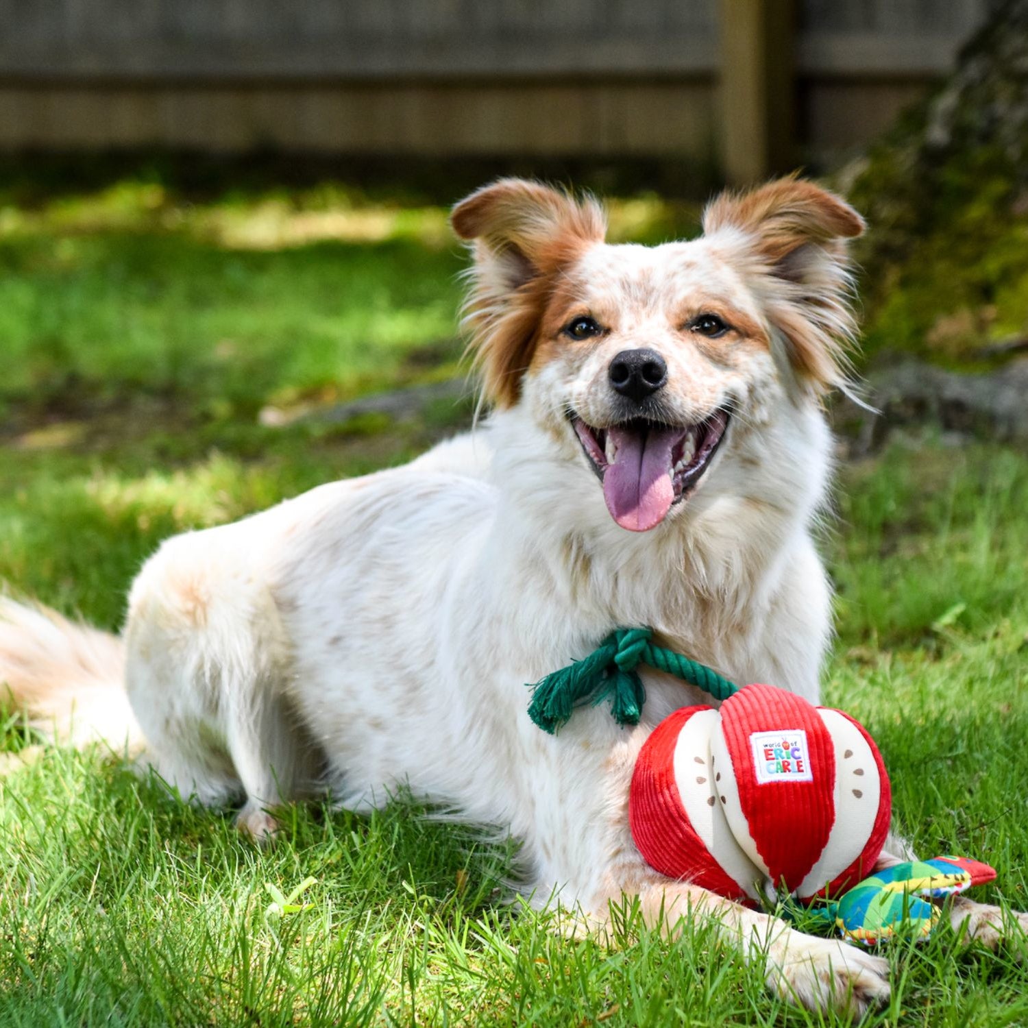 Eric Carle™ The Very Hungry Caterpillar Apple Rope Tug Dog Toy