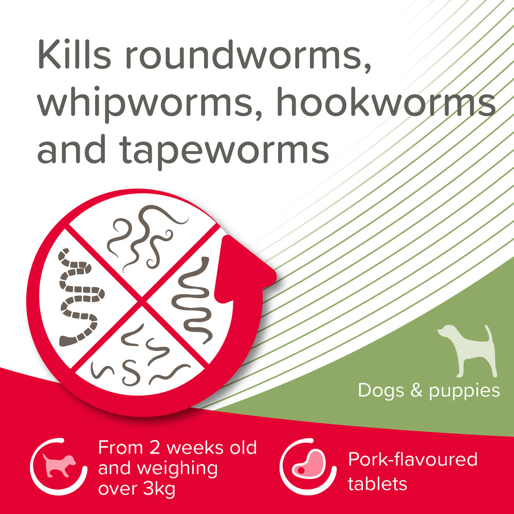 Beaphar WORMclear for Large Dogs up to 40kg Worming Tablets x 4