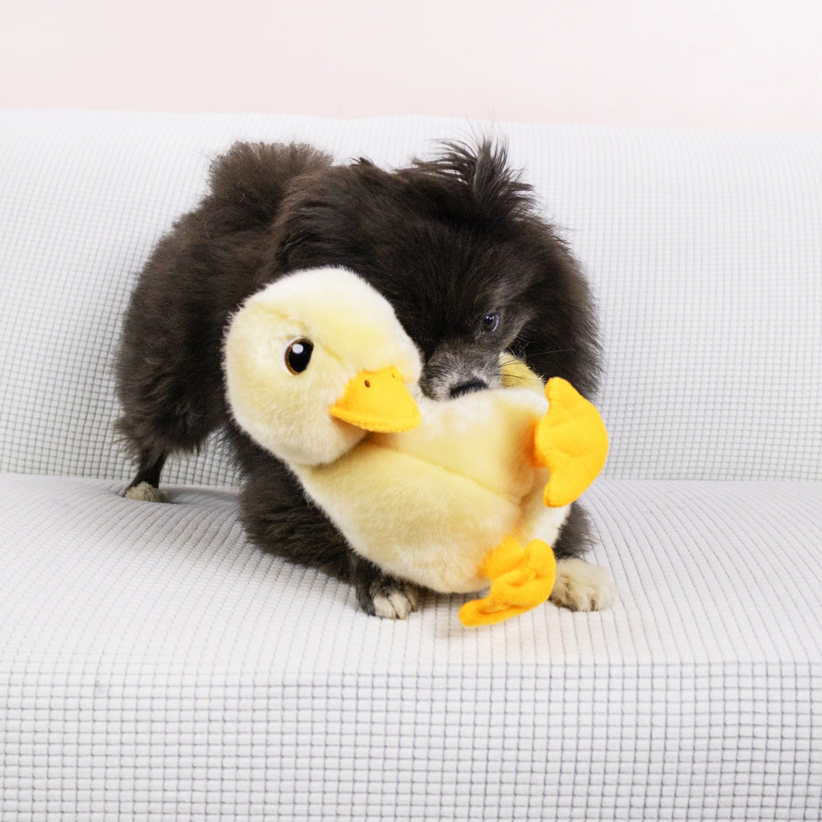 KONG Toughz Duck