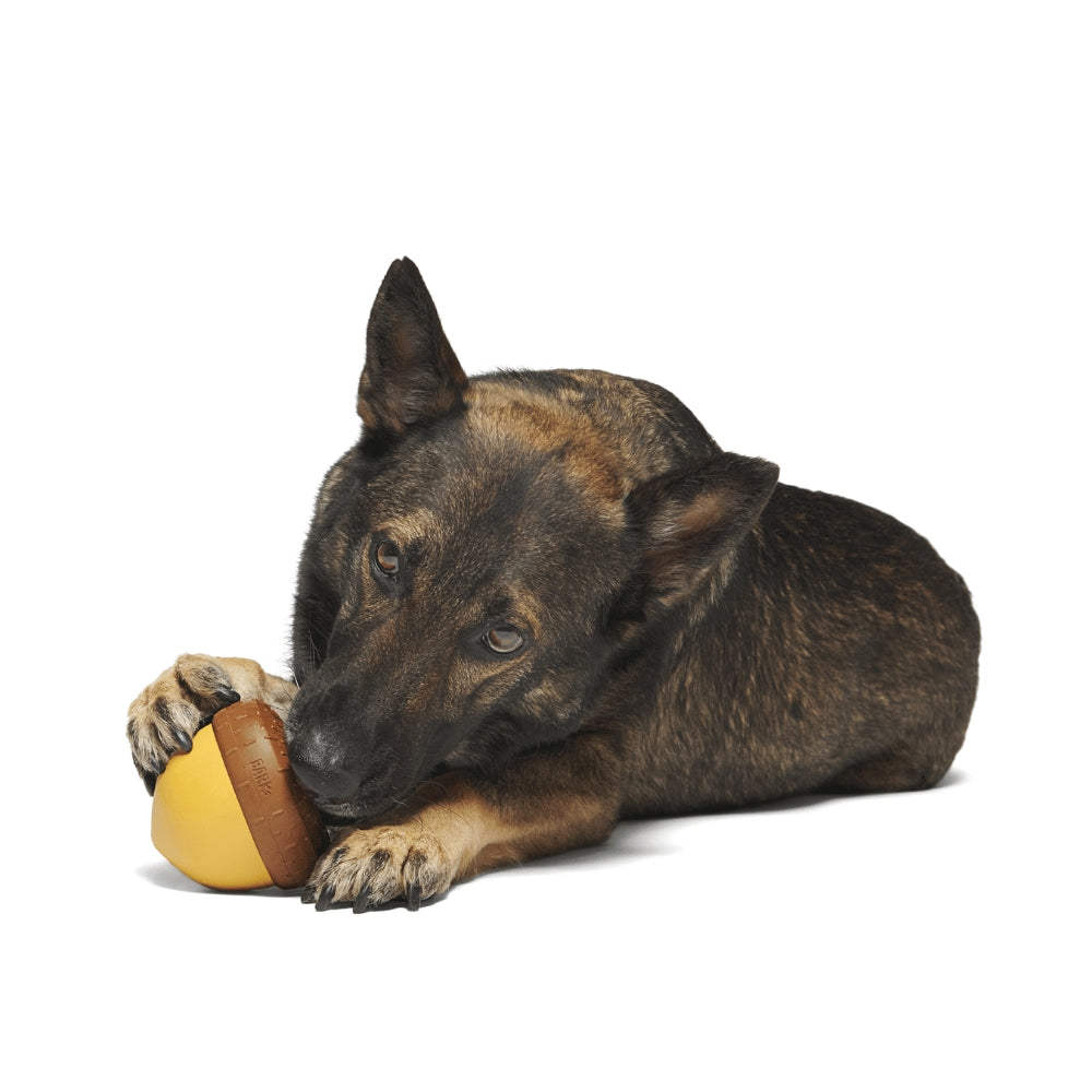 BARK Acornucopia Super Chewer Dog Toy