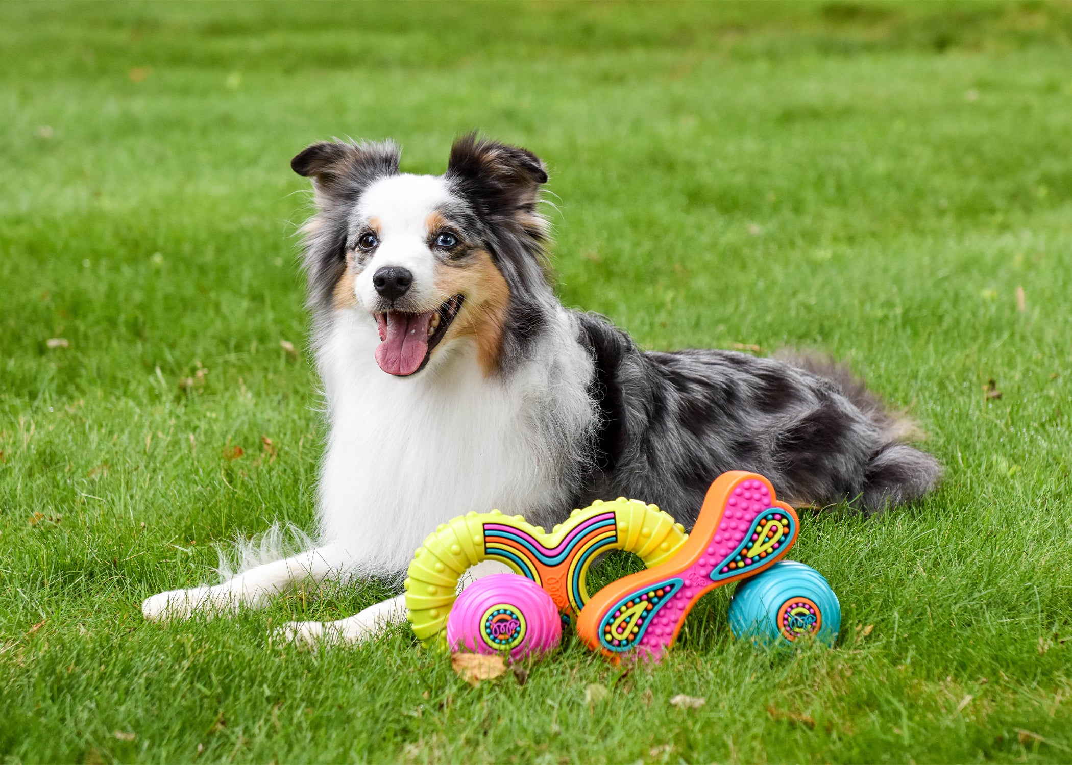 Happy Pet Groovers TPR Rubber Bone Dog Toy