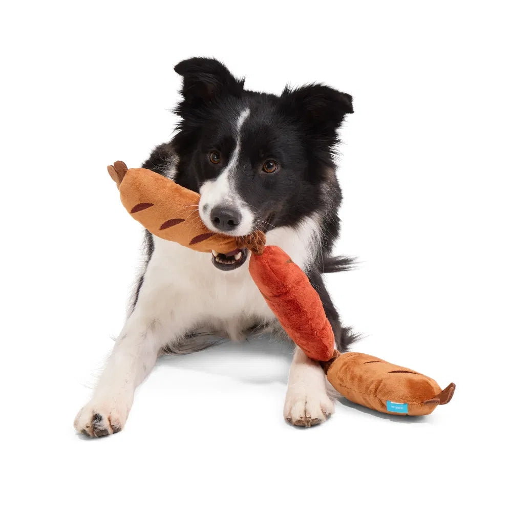 BARK Lickin' Links Plush Dog Toy