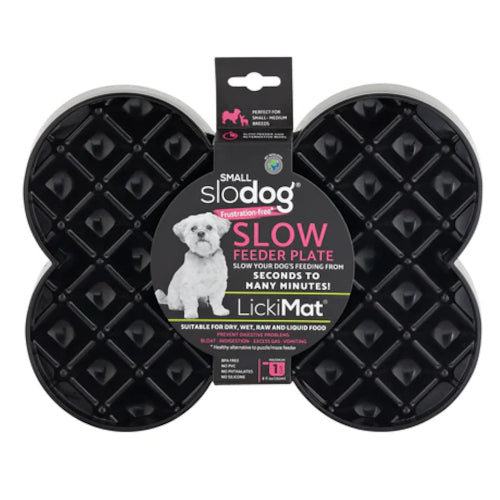 Plates for dogs best sale